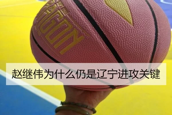 赵继伟为什么仍是辽宁进攻关键