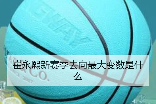 崔永熙新赛季去向最大变数是什么